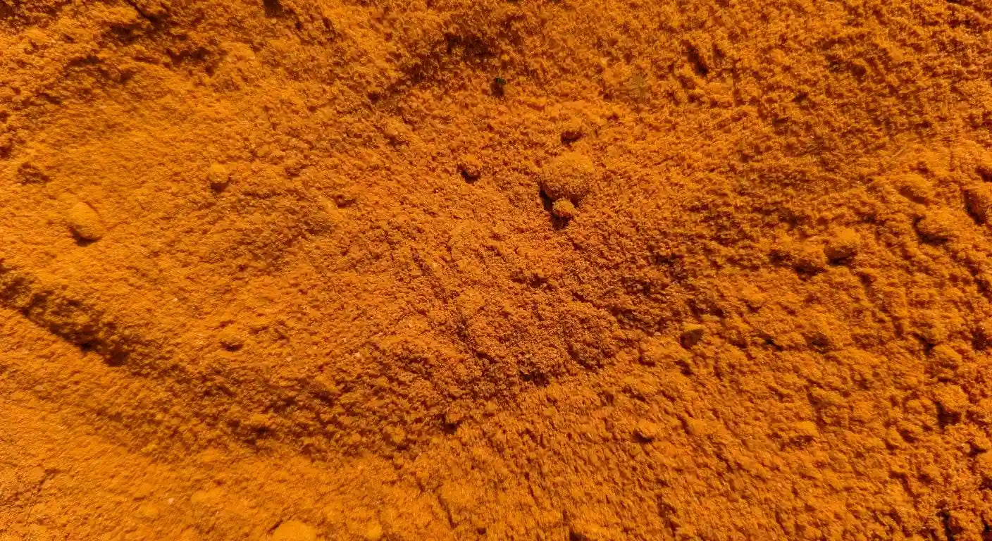 L’Or Jaune : Pourquoi le curcuma est-il bien plus qu’une simple poudre pour colorer le riz ?