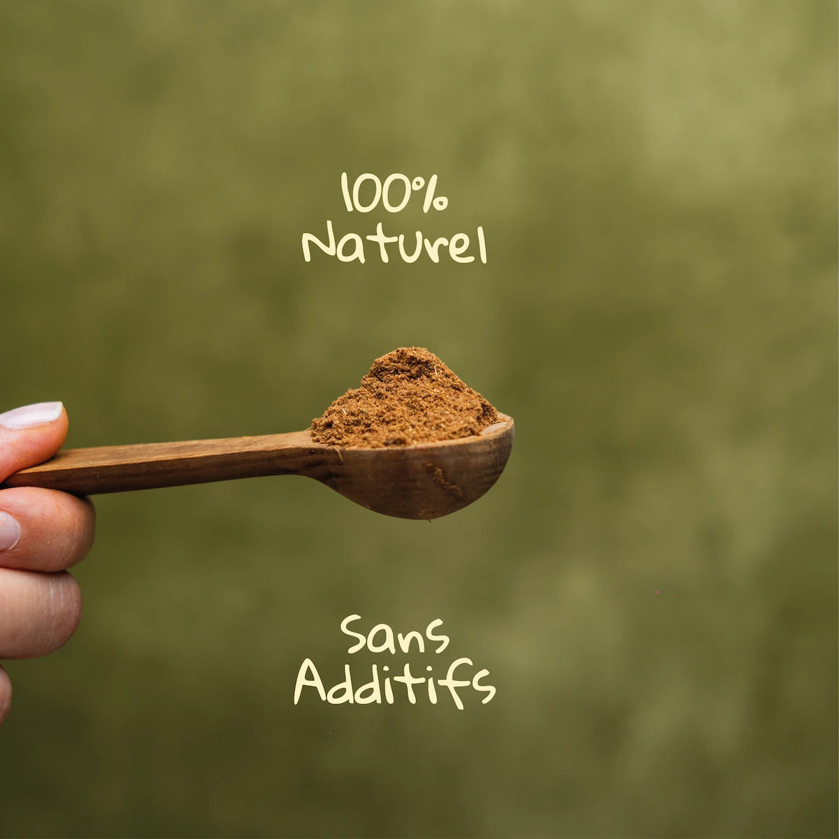 Cuillère en bois de garam masala moulu 100% naturel et sans additifs Pizca sur fond vert
